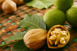 Грецкие орехи для профилактики аскаридоза