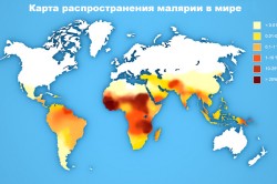Карта распространения малярии в мире